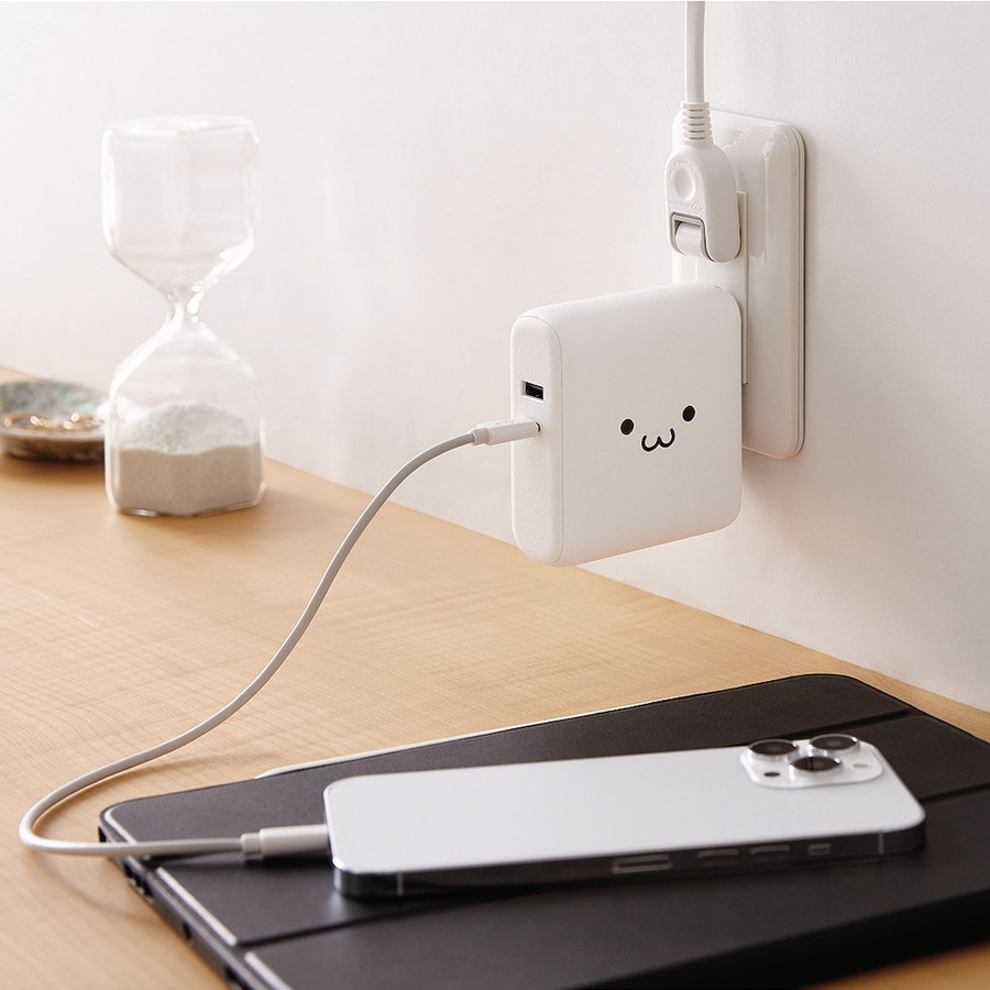 AC充電器一体モバイルバッテリー(10000mAh/20W/C×1+A×1)