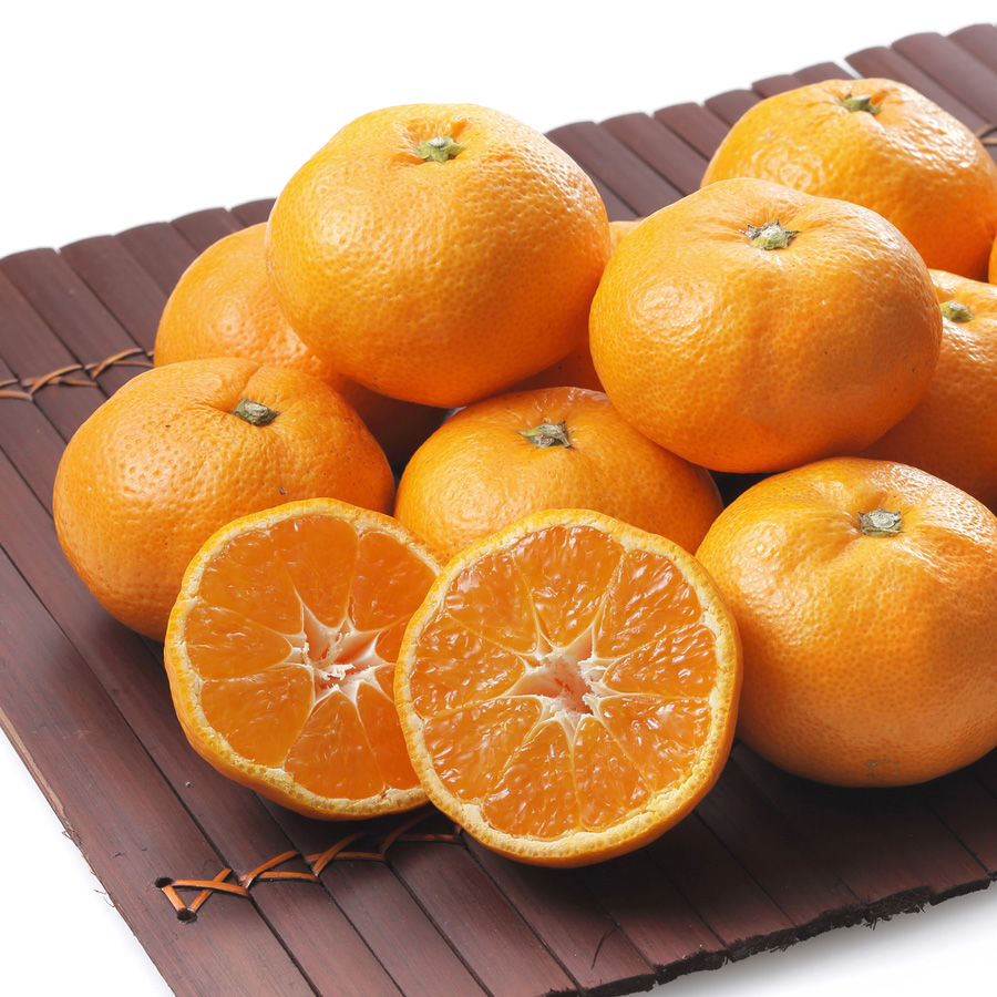 長崎県産 味っ子みかん